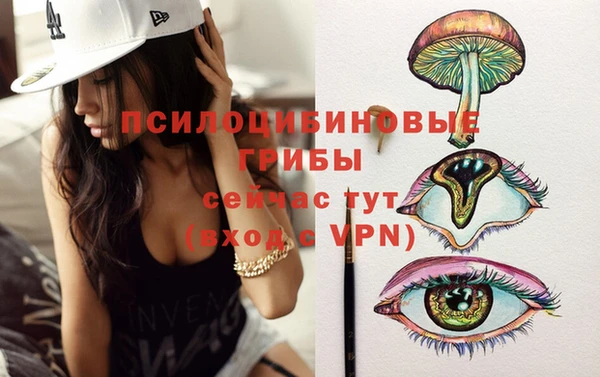 МДМА Гусиноозёрск