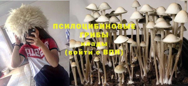 не бодяженный Горняк