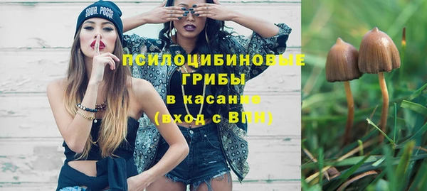 ALPHA PVP Горнозаводск
