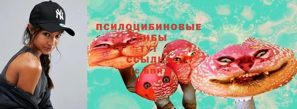 ALPHA PVP Горнозаводск